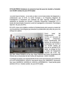 ICTA-UE-PRIICA fortalecen al consorcio local de yuca de Jocotán y