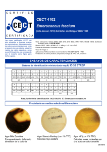 CECT 4102 Enterococcus faecium