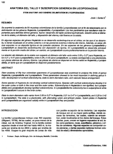 anatomía del tallo y suscripción genérica en licopodiaceae