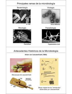 Principales ramas de la microbiología Antecedentes Históricos de la