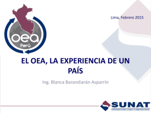 OEA - Experiencia del Pe
