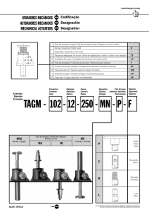 Example TAGM - 102 - 12 - 250 - MN - P - F