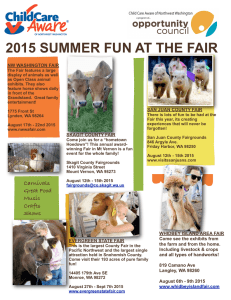 2015 summer fun at the fair