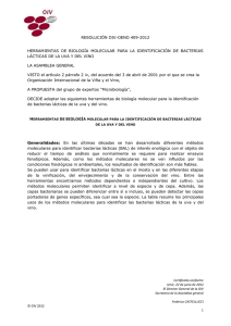 molecular tools for identification of lactic acid bacteria form grape