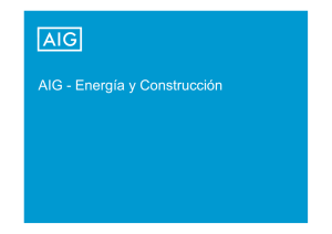 AIG - Energía y Construcción g y