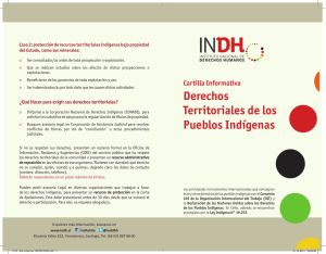 Dip Indigenas TERRITORIO