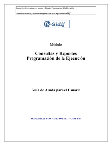 Consultas y Reportes Programación de la Ejecución