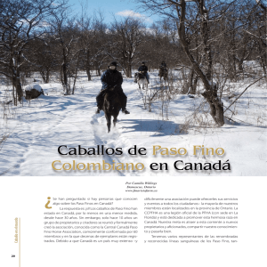 Caballos de Paso Fino Colombiano en Canadá Caballos de Paso