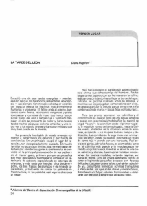 La tarde del león / Diana Magaloni Kerpel - Punto de partida