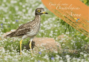 Guía Ornitológica [pdf 5.2 MB]