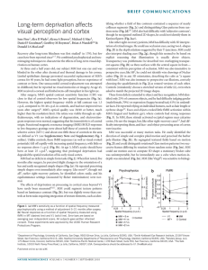 Nature Neuroscience Paper by Fine et al.