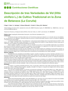 Descripción de tres Variedades de Vid (Vitis vinifera L.) - digital