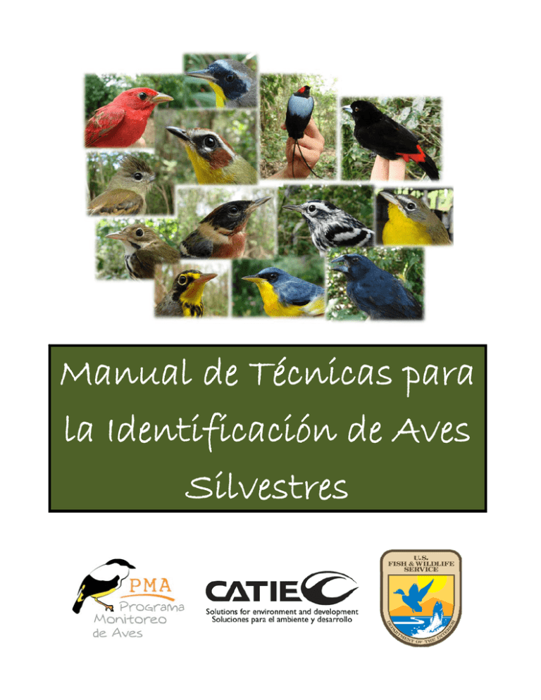 Manual De Técnicas Para La Identificación De Aves Silvestres