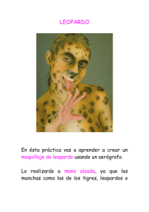 Leopardo - Body Paint