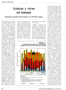 Azúcar y virus en tomate. Ingeniería genética del tomate NIVOT.