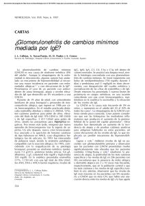 ¿Glomerulonefritis de cambios mínimos mediada por IgE?