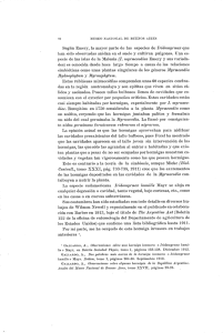 Page 1 92 MUSEO NACIONAL DE BUENOS AIRES Según Emery