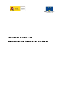 PROGRAMA FORMATIVO Mantenedor de Estructuras Metálicas