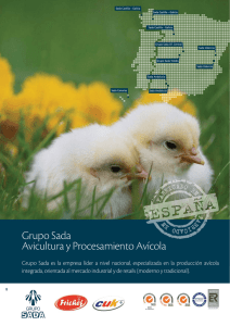 Grupo Sada Avicultura y Procesamiento Avícola