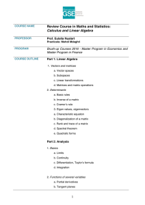 12BE99 Brush-up-Calculus and Linear Algebra