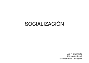 socialización - Luis F. Díaz Vilela