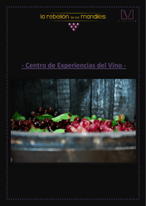 Centro de Experiencias del Vino