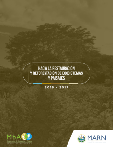 HACIA LA RESTAURACIÓN Y REFORESTACIÓN DE