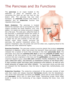 The Pancreas and Its Functions