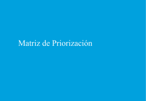 Presentación_MatrizdePrioización