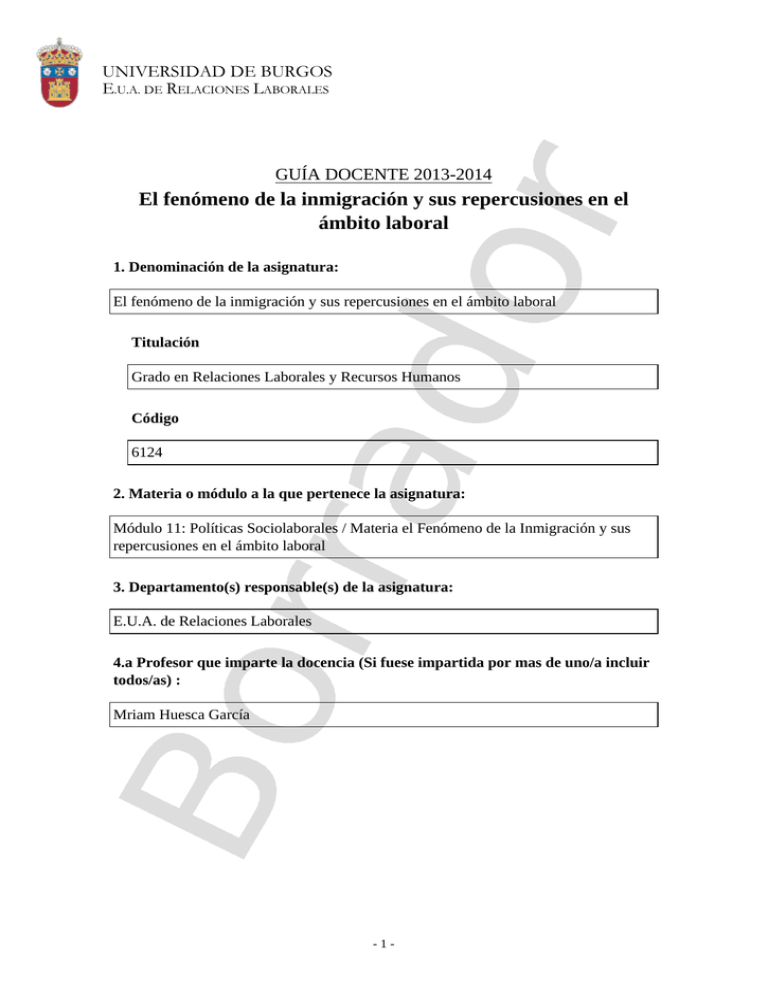 EL FENÓMENO DE LA INMIGRACIÓN Y SUS REPERCUSIONES