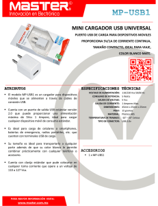 MINI CARGADOR USB UNIVERSAL
