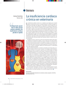 La insuficiencia cardiaca crónica en veterinaria