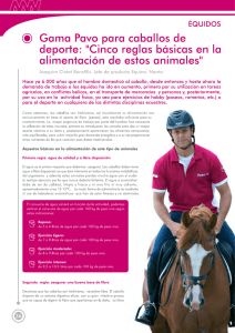 © Gama Pavo para caballos de deporte: "Cinco reglas bós¡cas en la