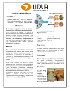 Complejo respiratorio bovino Rodríguez, C.1 1 Alumno practica II