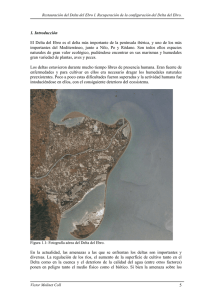 5 1. Introducción El Delta del Ebro es el delta más importante de la
