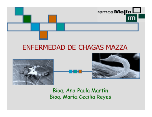 ENFERMEDAD DE CHAGAS MAZZA