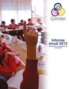 Nvo.Informe Anual 2013