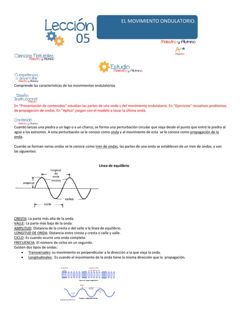 El Movimiento Ondulatorio.