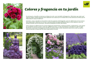 Colores y fragancia en tu jardín