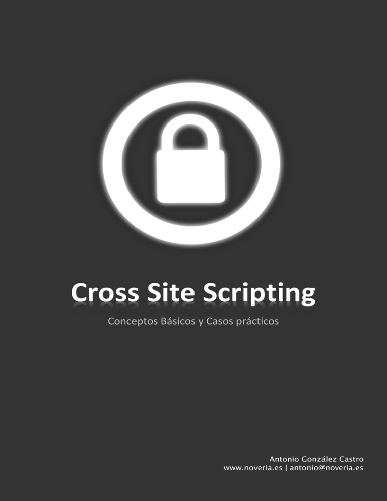 Cross Site Scripting