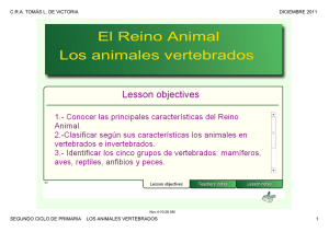Animales vertebrados - CRA Tomás Luís de Victoria