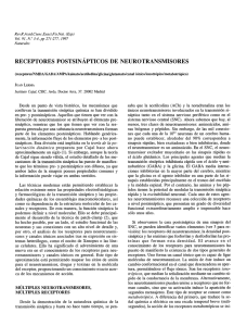 receptores postsinapticos de neurotransmisores - digital