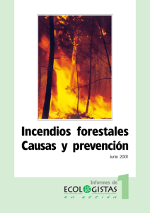 Incendios forestales Causas y prevenci鏮