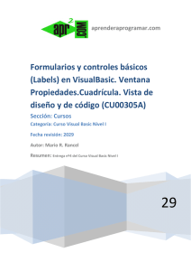 CU00305A Formularios y labels en visual basic ventana