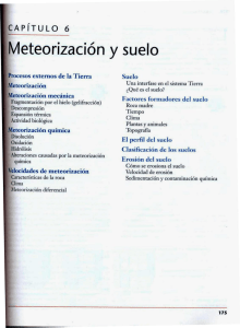 Meteorización y suelo