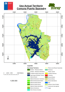 Uso Actual Territorio Comuna Puerto Saavedra