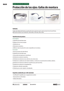 Protección de los ojos: Gafas de montura