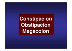 Constipacion Obstipación Megacolon