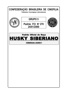 husky siberiano - Confederação Brasileira de Cinofilia