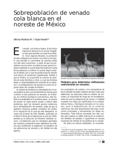 Sobrepoblación de venado cola blanca en el noreste de México